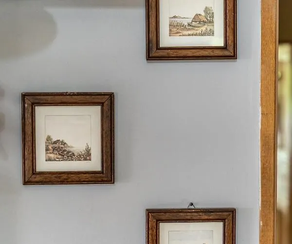 Ziemia Obiecana * Nielestno