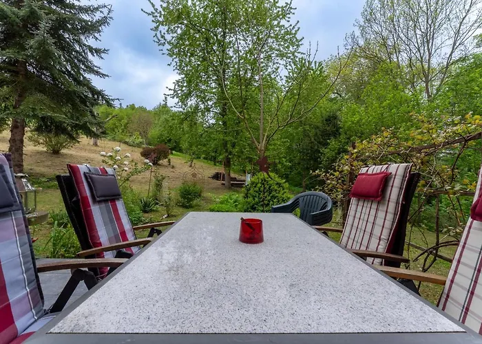 Ziemia Obiecana * Nielestno